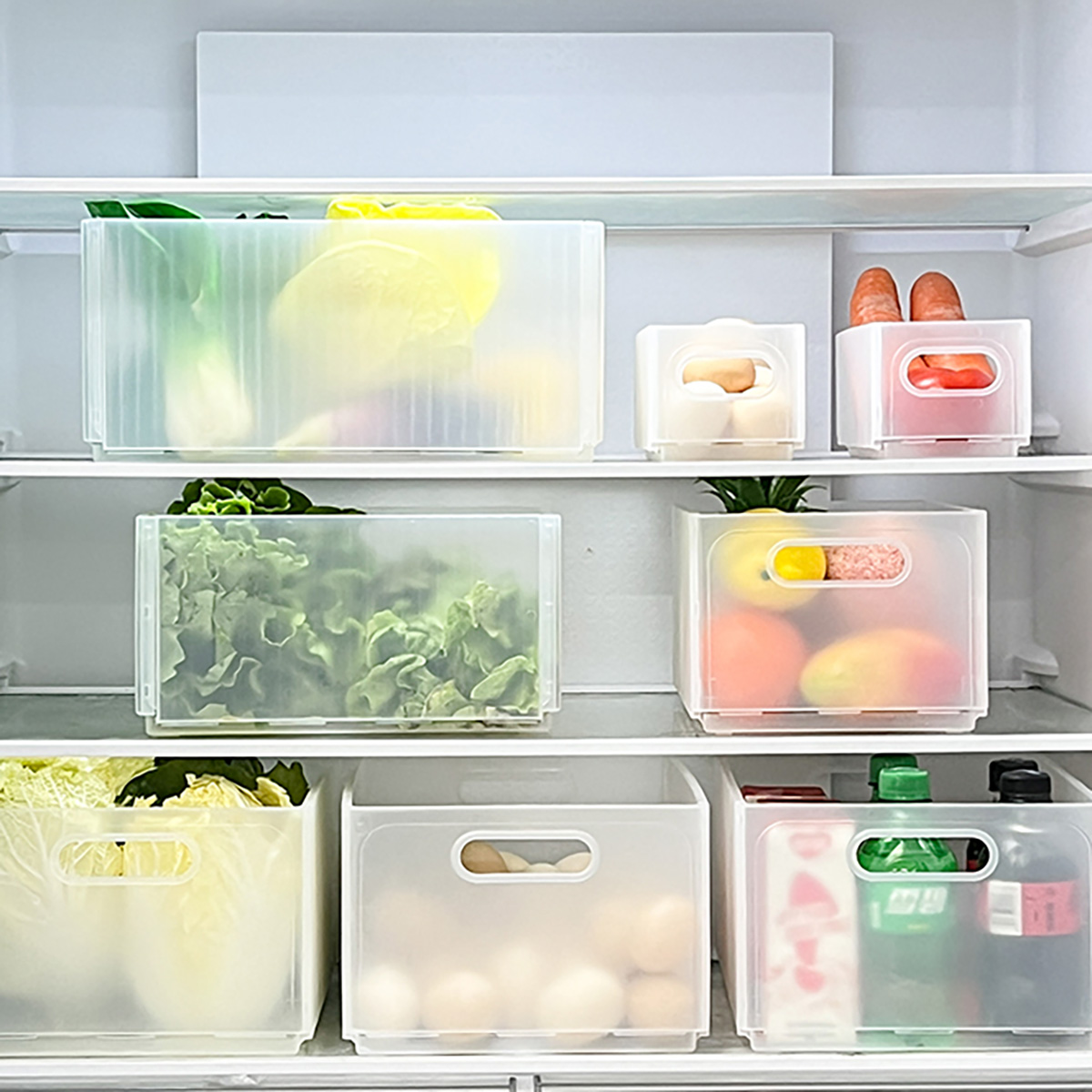 WORTHBUY Plastic Opvouwbare Ko - Xxl Food Storage Container recensie en prijs