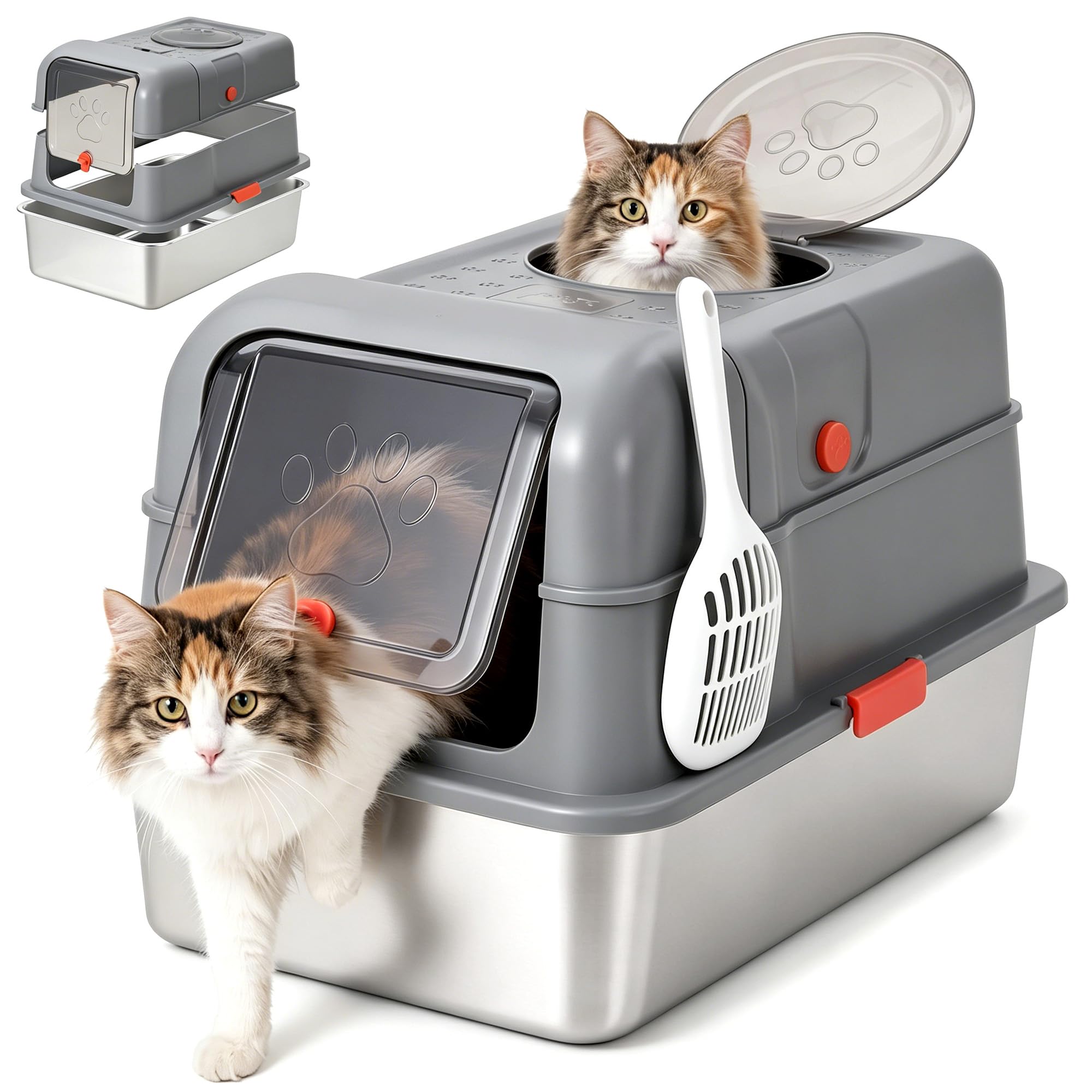 Afgesloten roestvrijstalen kat - Food Storage Xl recensie en prijs